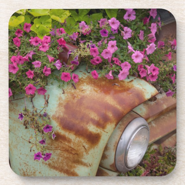 Columbia Falls Coaster (Front)