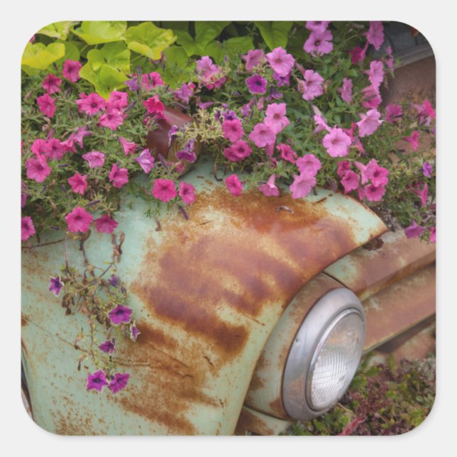 Columbia Falls Square Sticker (Front)