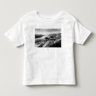 Columbia Gorge View Photograph Toddler T-Shirt