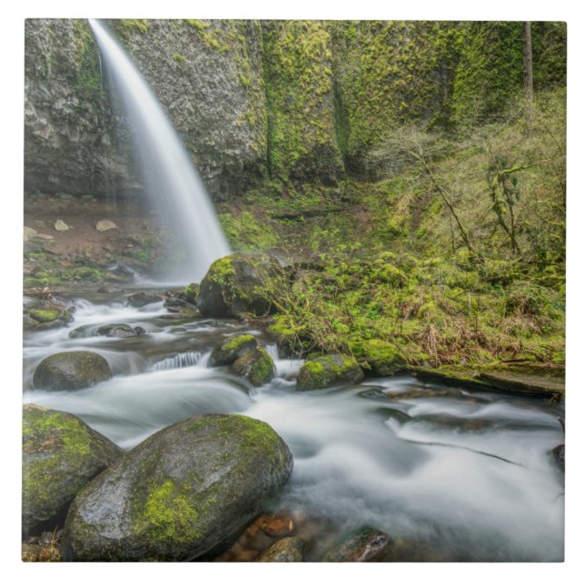 Columbia River Gorge, Ponytail Falls Tile (Front)