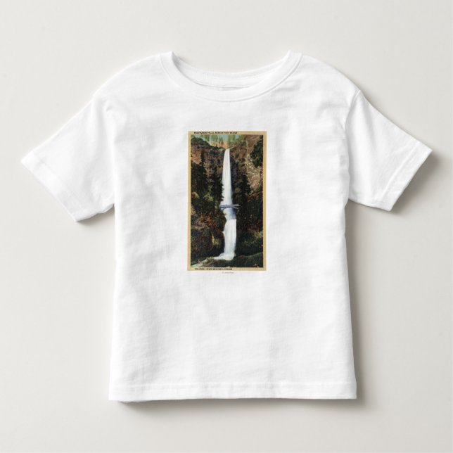 Columbia River, OR - Multnomah Falls and Benson Toddler T-Shirt (Front)