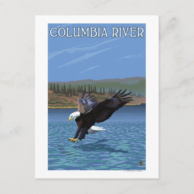 Columbia River, WashingtonEagle Diving Postcard (Front)