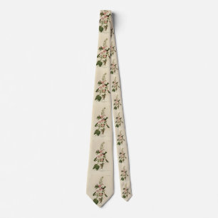 Columbian (Anna's) Humming Bird - Audubon's Birds Tie
