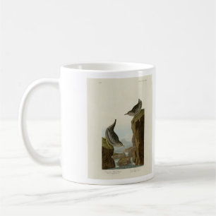 Columbian Water Ouzel, Audubon's Birds of America Coffee Mug