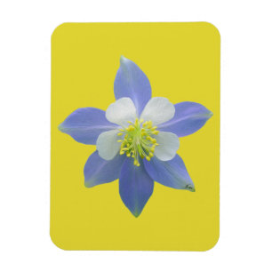 Columbine 2 magnet