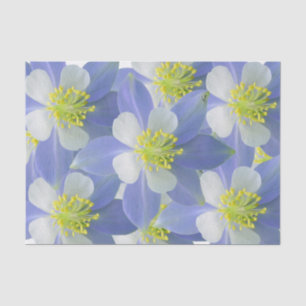 Columbine 2 tissue paper