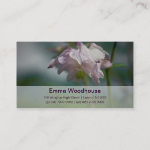 Columbine   Akelei Business Card