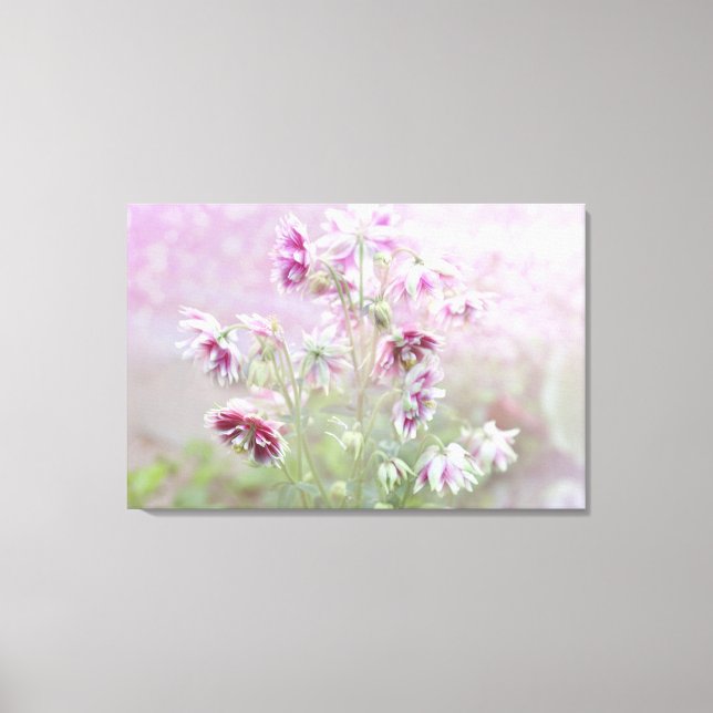 Columbine Beauty Canvas Print (Front)