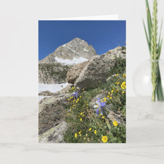 Columbine Beneath Paiute Peak Card