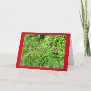 Columbine Blank Note Card