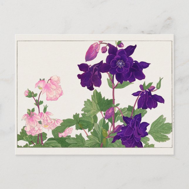 Columbine by Tanigami Konan Postcard (Front)