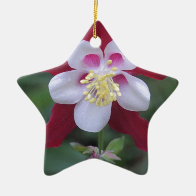 Columbine Ceramic Tree Decoration (Front)