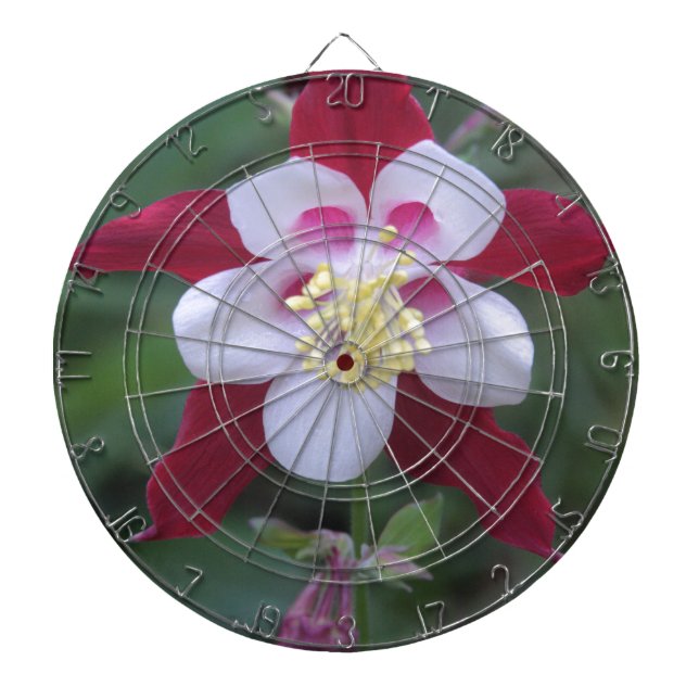 Columbine Dartboard (Front)