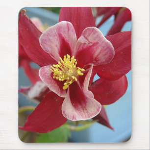Columbine Flower Mouse Pad