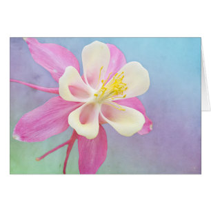 Columbine Flower Pink & White Custom Card