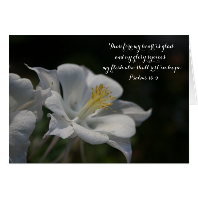 Columbine Flower Shooting Star Psalm 16:9 (Front Horizontal)