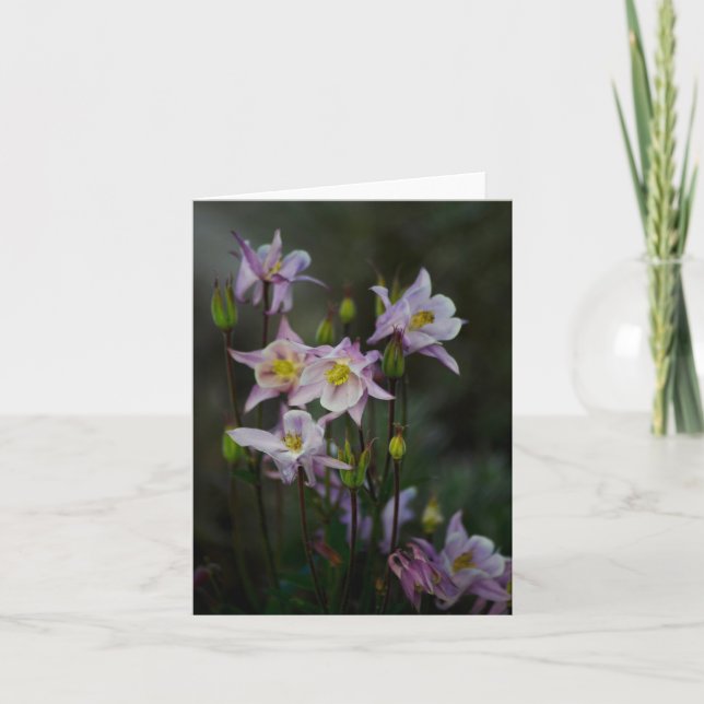 Columbine Flowers Note Card (Front)