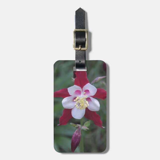 Columbine Luggage Tag (Front Vertical)