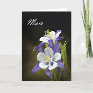 Columbine Mother's Day card