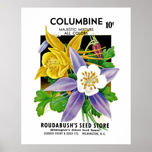Columbine Poster (Front)