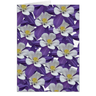 Columbine Purple and White Flower Card