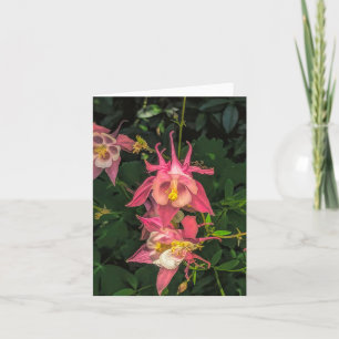 Columbine @ Stenton House Museum & Garden Notecard