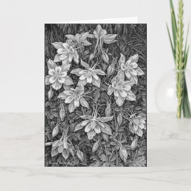 Columbines Ink Drawing Greeting Card (Front)