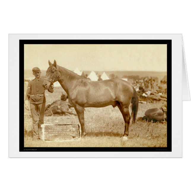 Comanche, Army Horse SD 1887 (Front Horizontal)