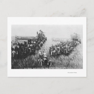 Combine Harvester Scene Postcard