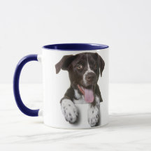 Combo coffee mug,custom dog photo