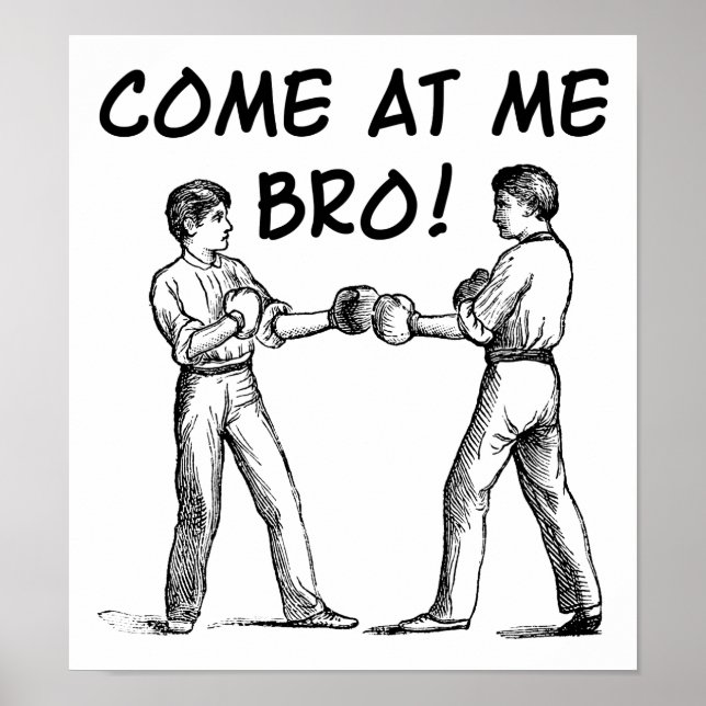 Come At Me Bro Funny Poster (Front)