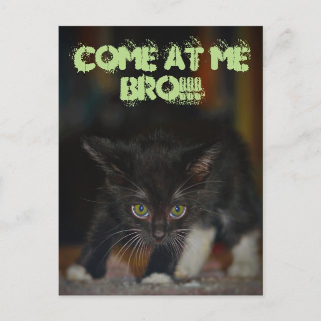 Come at me Bro! Postcard (Front)
