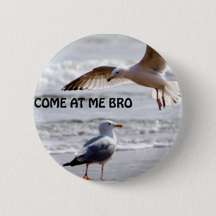 Come at me bro! Seagull Version 6 Cm Round Badge