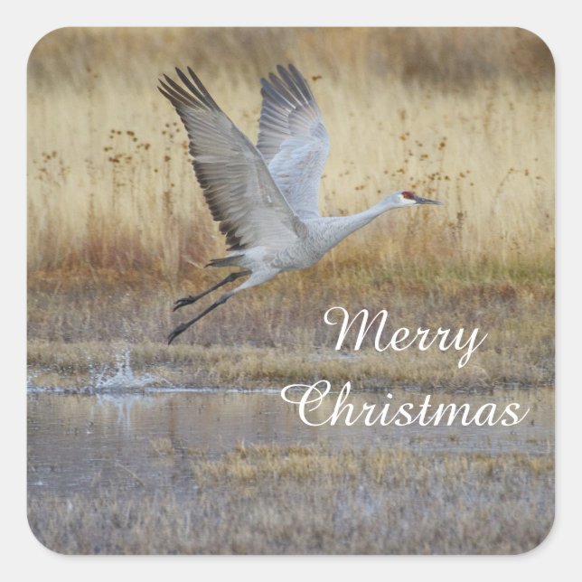 come fly with me, Merry Christmas Square Sticker (Front)