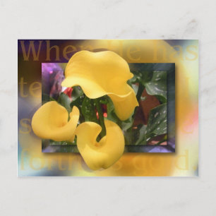 Come Forth as Gold Postcard