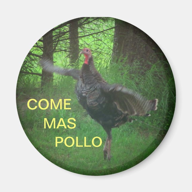 Come Mas Pollo Funny Turkey Magnet (Front)