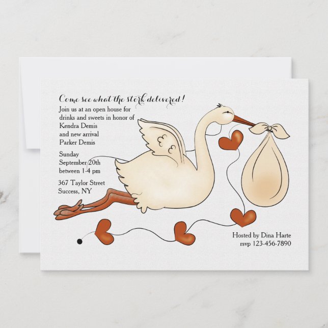 Come See What the Stork Delivered Invitation (Front)