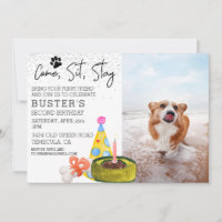 Come Sit Stay Dog Birthday Photo Party