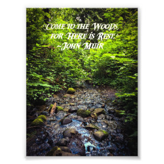 Come to the Woods Photo Print