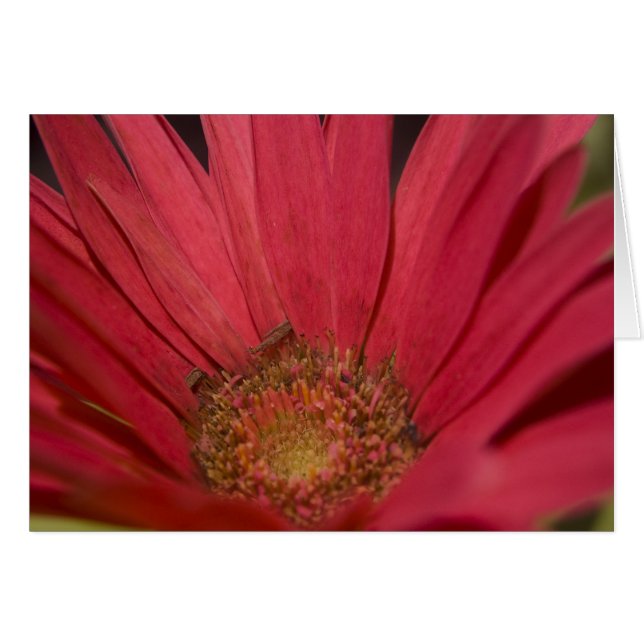 Come to Your Senses Card (Front Horizontal)