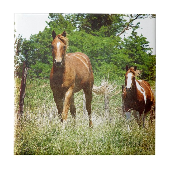 Come when Called, Two Horses Tile (Front)