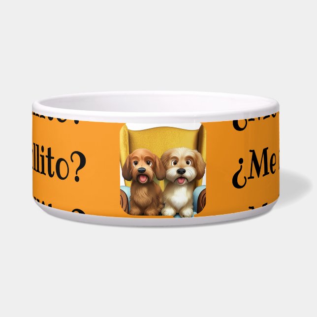 Comedero con personalidad “Amiguitas Peludas” (Front)