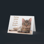 *COMEDIC CAT* FOR MY *BROTHER'S* BIRTHDAY CARD<br><div class="desc">THANKS FOR STOPPING BY ONE OF MY EIGHT STORES</div>