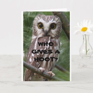 *COMEDIC OWL* BIRTHDAY** HUMOR CARD
