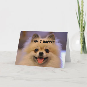COMEDIC POMERANIAN HAPPY "60th BIRTHDAY" Card