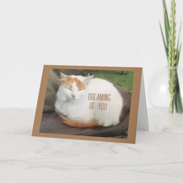 COMEDIC TURKISH VAN SAYS "HAPPY BIRTHDAY" CARD (Front)