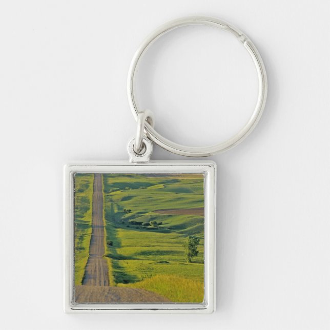 Comertown gravel road in remote northeastern key ring (Front)
