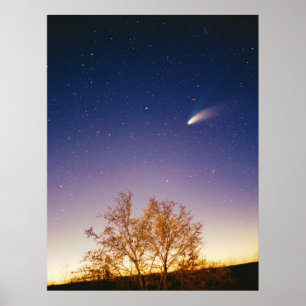 Comet Hale Bopp Poster