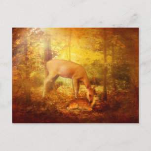 Comfort My People Postcard