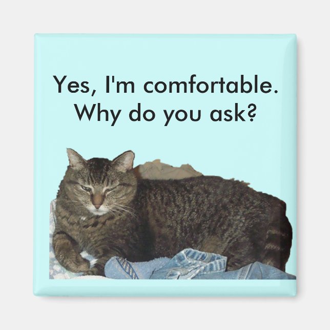 Comfortable on Laundry cat magnet (Front)